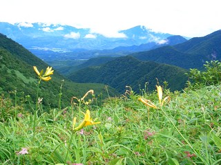 CIMG2534.JPG